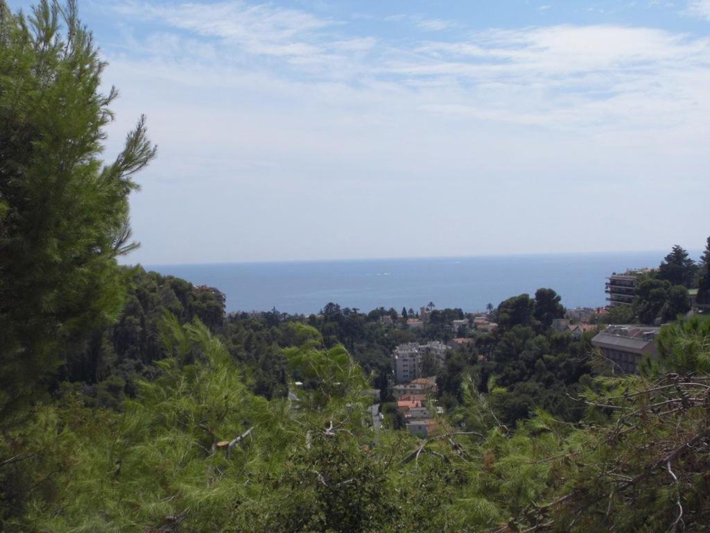Apartment La Madonette Nizza